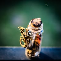 Image 12 of Adventurers Pack - Message in a Bottle