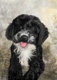 Image 3 of Custom pet portrait Deluxe framed canvas 