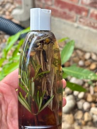 Conditioning Herbal Hair Growth Shampoo 