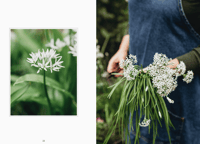 Image 1 of on the bookshelf - living with herbs