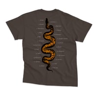 Image 2 of VILLABANKS TEE