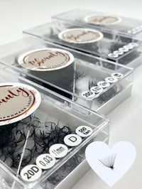 Image of 20D 0.3 500 fans D curl