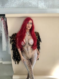 Image 12 of Crystal Mesh Fallen Angel Bodysuit and Wings
