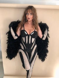 Image 6 of Crystal Spiral Mesh Catsuit, Gloves and Wings Set
