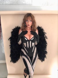 Image 1 of Crystal Spiral Mesh Catsuit, Gloves and Wings Set