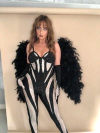 Image 4 of Crystal Spiral Mesh Catsuit, Gloves and Wings Set