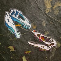 Image 5 of Dinosaur Skulls - Carnivores - High Quality Clear Vinyl Stickers - Choose Your Own!