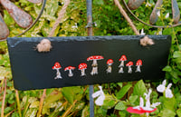 Image 1 of Fly agaric 