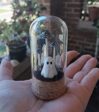 Image 2 of Ghost Terrarium with Black Shrooms