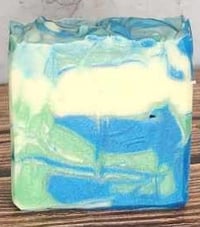 Image 1 of 3.8 to 4.2 ounce soap