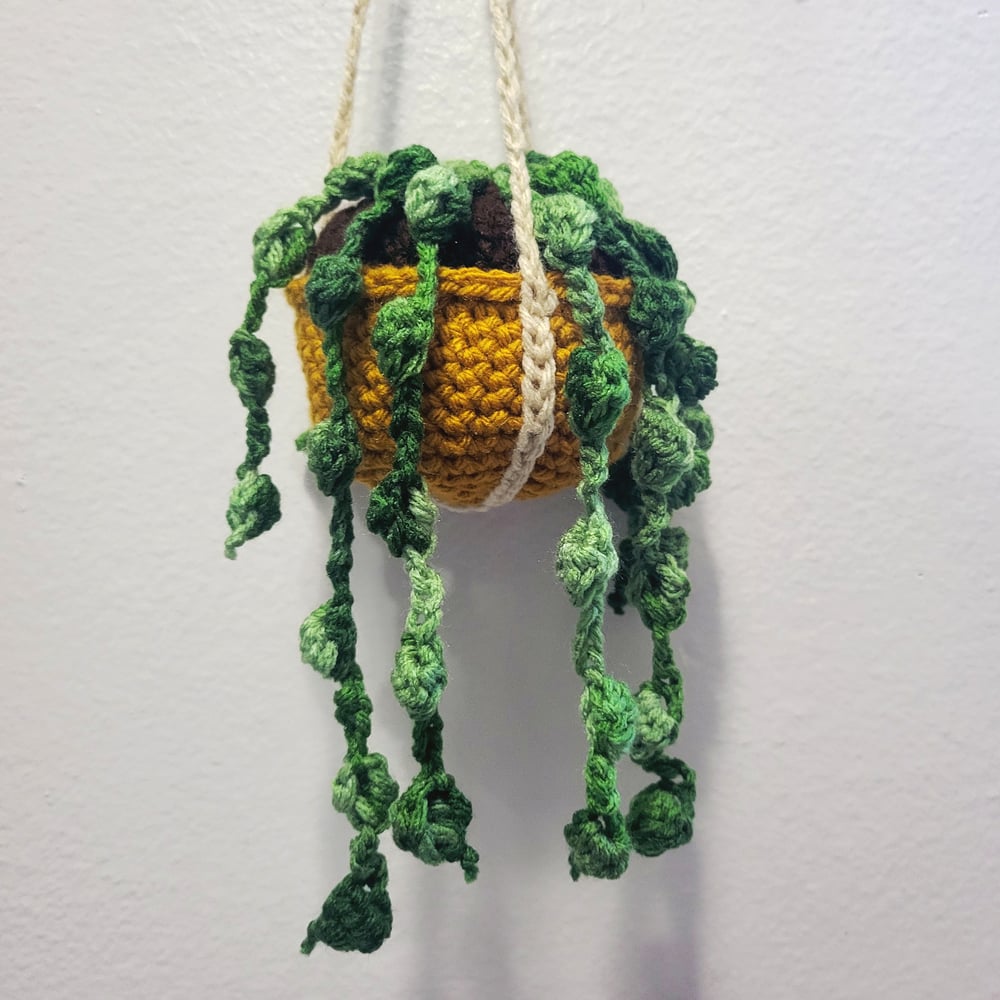 Hanging Green Speckle Succulent in Mustard Pot