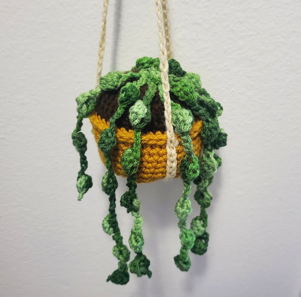 Hanging Green Speckle Succulent in Mustard Pot