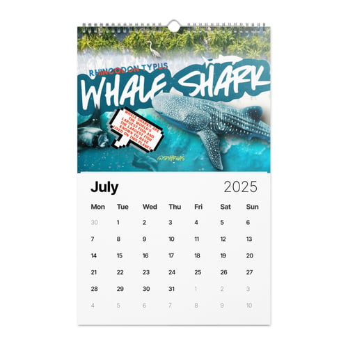 Image of 2025 SPHYRNAS wall calendar