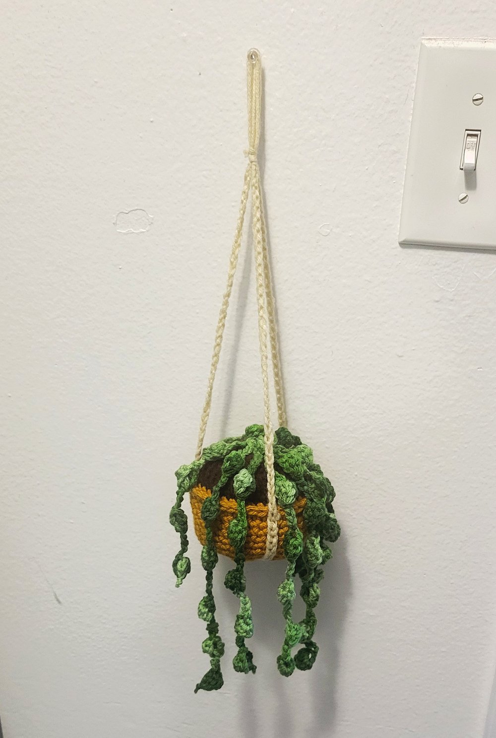 Hanging Green Speckle Succulent in Mustard Pot