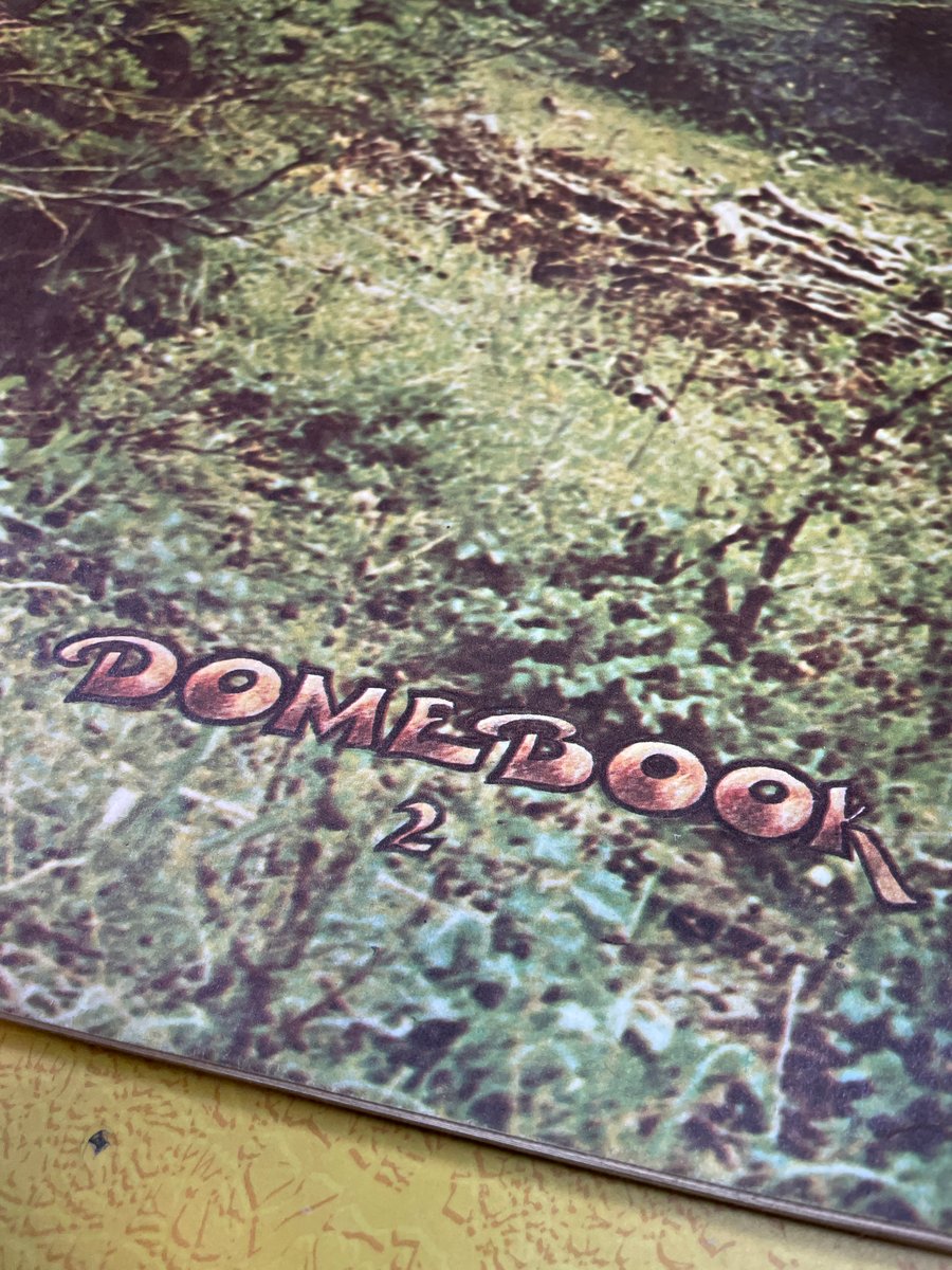 BK: Domebook 2 Lloyd Kahn Geodesic Dome Shelter Guide Hippie