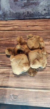 Image 2 of Cerberus