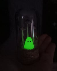 Image 2 of Glowing Ghost Terrarium