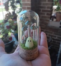 Image 1 of Glowing Ghost Terrarium