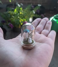 Tiny Ghost Terrarium with Real Moss