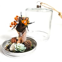 Image 1 of Orange Flammea Beetle Woodland Hanging Mason Jar