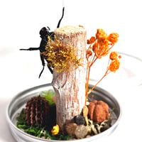 Image 3 of Orange Flammea Beetle Woodland Hanging Mason Jar