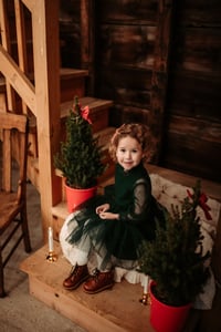 Image 11 of 2025 Holiday Minis at The Good Farm