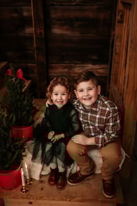 Image 5 of 2025 Holiday Minis at The Good Farm