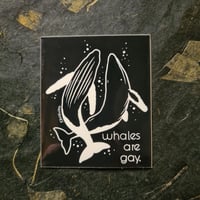 Image 2 of Whales Are Gay - Vinyl Sticker