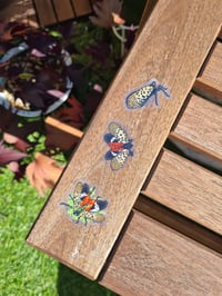 Image 1 of Spotted Lanternflies Clear Vinyl Stickers - Pack of 12 Life-sized Stickers