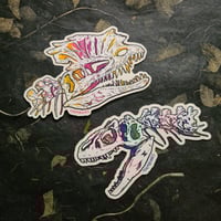 Image 1 of Allosaurus & Dilophosaurus - Large Clear Vinyl Stickers