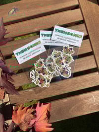 Image 2 of Spotted Lanternflies Clear Vinyl Stickers - Pack of 12 Life-sized Stickers