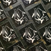 Image 1 of Whales Are Gay - Vinyl Sticker