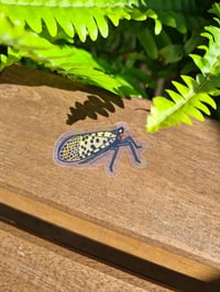 Image 3 of Spotted Lanternflies Clear Vinyl Stickers - Pack of 12 Life-sized Stickers