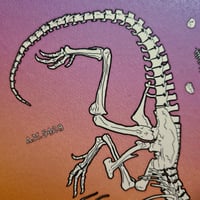 Image 5 of Gorgosaurus Fossil Dinosaur Skeleton Fine Art Print - 8"x10"