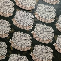 Image 5 of I'm A Mess - Clear Dinosaur Skeleton Die-Cut Vinyl Sticker - Transparent!