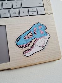Image 3 of Trans-osaurus rex Pride Sticker - Tyrannosaurus rex Skull Die-Cut Vinyl Sticker - LGBTQIA+