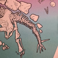 Image 5 of Stegosaurus Dinosaur Fossil Skeleton Print - 8"x10"