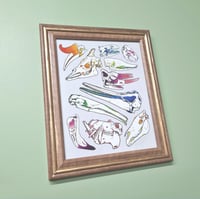 Image 5 of Weird & Strange Animal Skulls - High Quality Print 8x10”