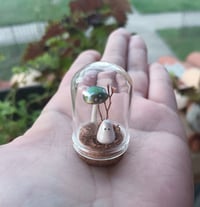 Image 1 of Tiny Ghostie Terrarium with Fall Colors