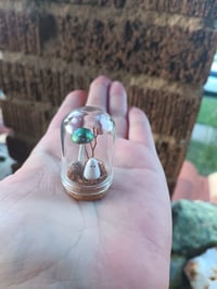 Image 2 of Tiny Ghostie Terrarium with Fall Colors