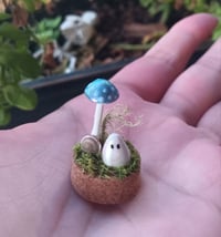 Image 2 of Very Small Ghost Terrarium 