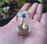 Image 1 of Very Small Ghost Terrarium 