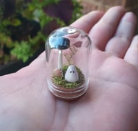 Image 1 of Small Ghost and Mushroom Terrarium 