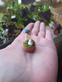 Image 2 of Small Ghost and Mushroom Terrarium 