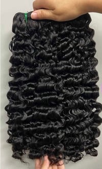 Burmese Curl 