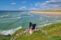 Beauty And The Beach 