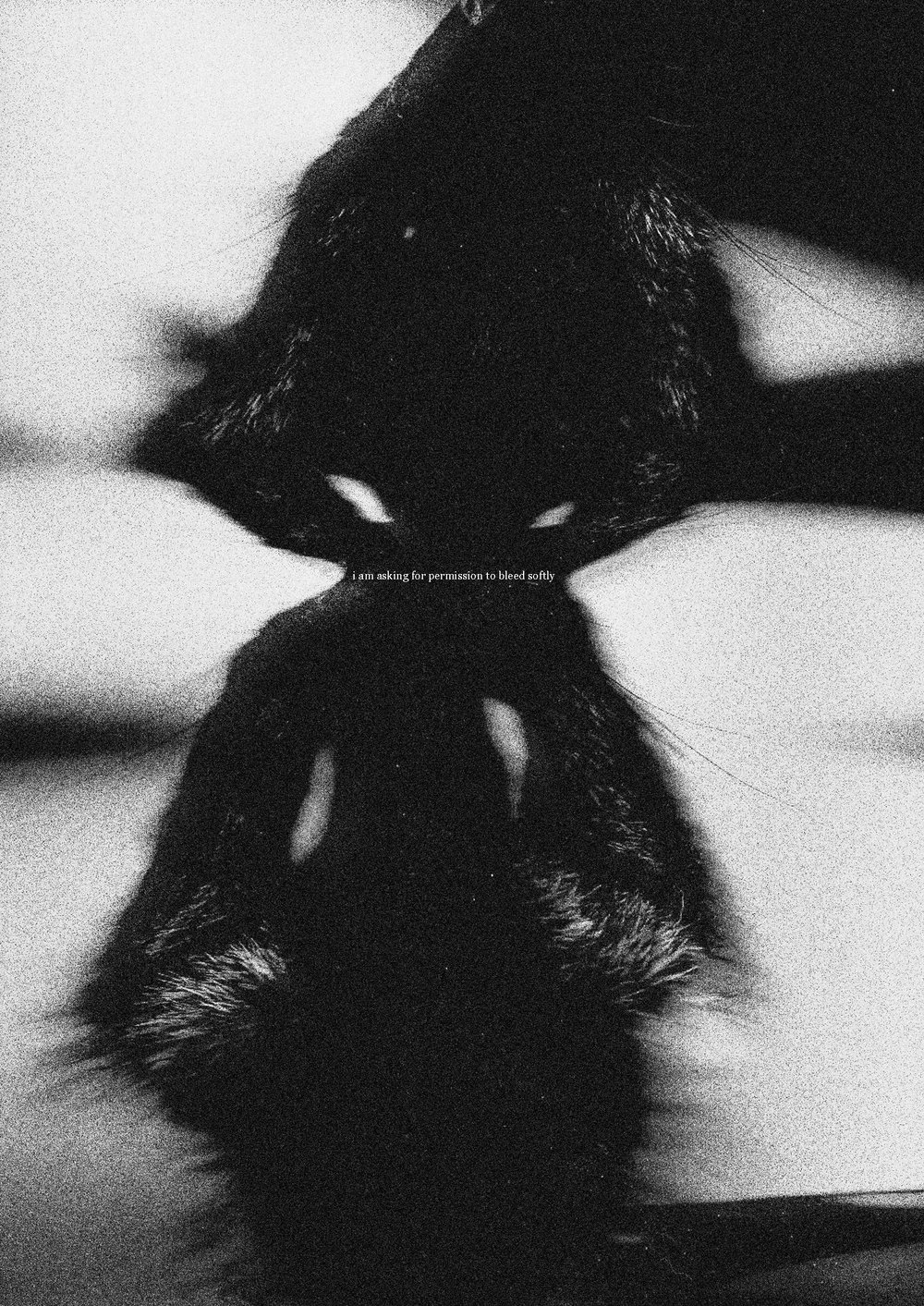 Image of i am asking for permission to bleed softly