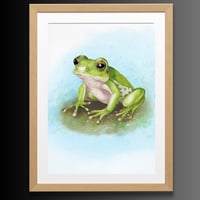 Image 3 of Froggy