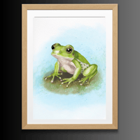 Image 1 of Froggy