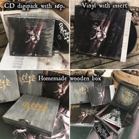 Calamites & les Calamités